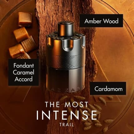 Azzaro The Most Wanted Intense Eau de Parfum (EDP) Mixte 50ml