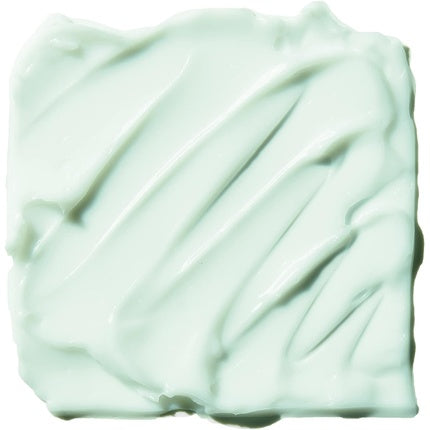 Blemish Control Face Primer Small Long Lasting Skin Perfecting Matte Finish Infused with Salicylic Acid Vitamin E and Tea Tree 14ml