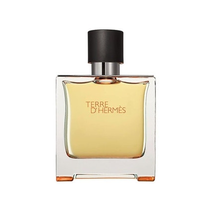 Hermes Terre D'Hermes M Pure Parfum 200ml Men Spray