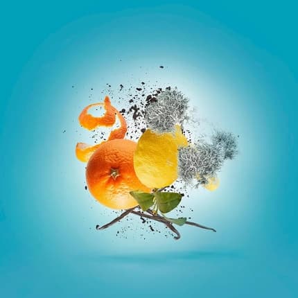 Maison des fragrances