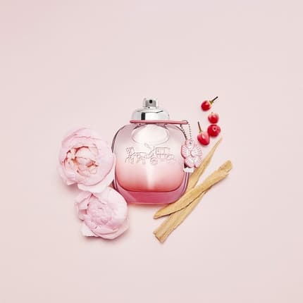 Coach Floral Blush Eau de Parfum (EDP) Mixte 30ml