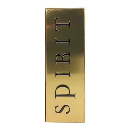Lomani Ab Spirit Millionaire Eau de Parfum (EDP) Homme 100ml