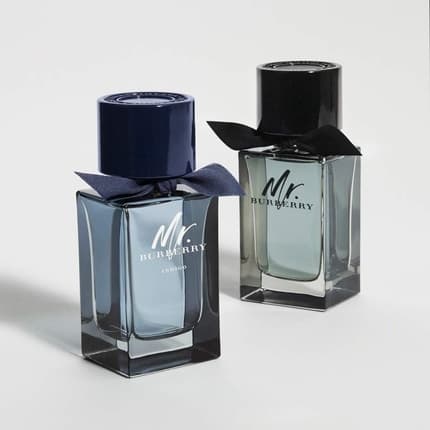Mr. Burberry Eau de Parfum Spray 50ml