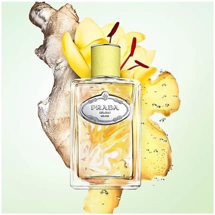 Prada Infusion De Gingembre Eau de Parfum (EDP) Mixte 100ml