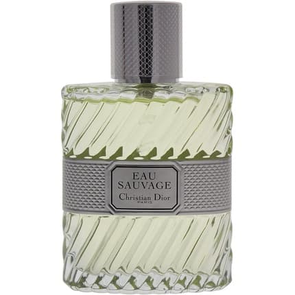 Dior Wild Water Man - Toilet Eau 50ml