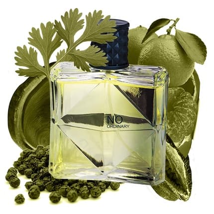 Realtime Real Time No Ordinary Eau de Toilette (EDT) Mixte 100ml