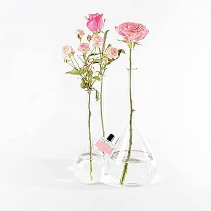Bon Parfumeur Les Classiques 101 Rose Eau de Parfum (EDP) Mixte 100ml