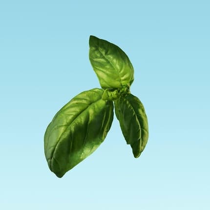 Calvin Klein Eternity Aqua For Men Eau De Toilette