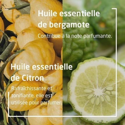 Weleda Citrus And Bergamot 24hour Deodorant Stick Weleda Déodorant (Déo) Mixte