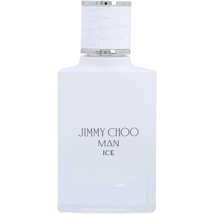 Jimmy Choo Man Ice Eau de Toilette (EDT) Mixte 30ml