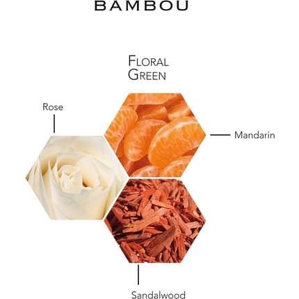 Bambou by Weil Beauty Gift Eau De Parfum Spray for Women 3.4 oz
