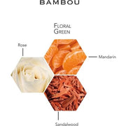 Bambou by Weil Beauty Gift Eau De Parfum Spray for Women 3.4 oz