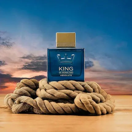 Banderas Perfumes King of Seduction Absolute Eau de Toilette for Men Long Lasting Elegant Casual and Masculine Fragrance Woody and Moss Notes Ideal for Day Wear 200ml Banderas