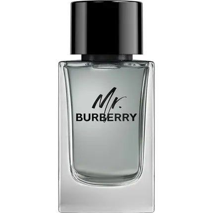 Burberry Mr. Burberry Eau De Toilette Spray 150ml