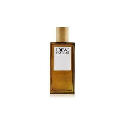 LOEWE  Pour Homme Eau De Toilette Spray Loewe