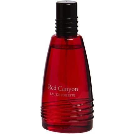 Mido Shopping Midi Shopping Hot Canyon Eau de Toilette (EDT) Homme 100ml