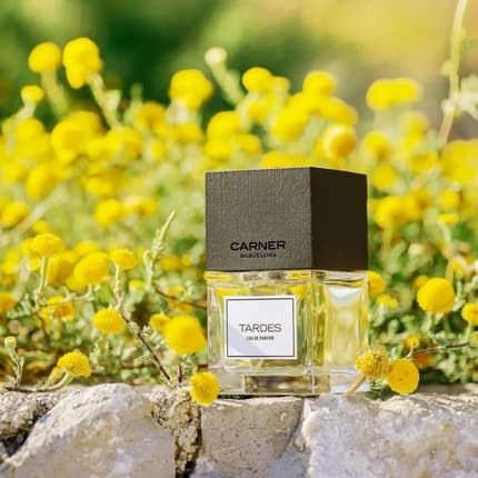 Carner Barcelona Carner Tardes Eau de Parfum (EDP) Mixte 100ml