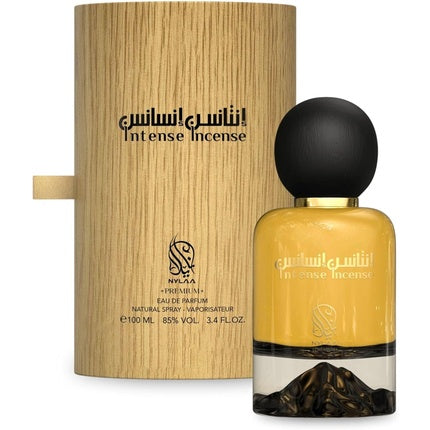 Incense Intense Perfume for Men 100ml Eau De Parfum Interlude Men Perfume Strong Scent Woody Spicy Amber Leather Nylaa