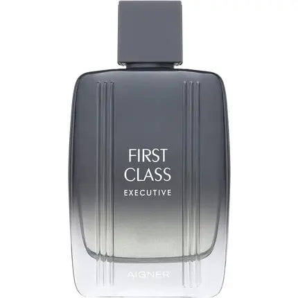 Etienne Aigner First Class Executive Eau de Toilette 100ml Spray Pour Homme Etienne Aigner