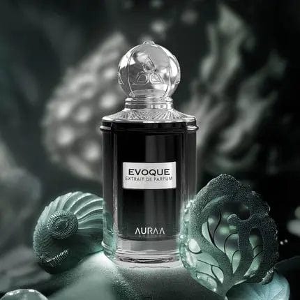 Evoque Extrait Perfume 100ml by Auraa Desire Cardamom Bergamot Plum Scent for Men and Women Auraa Desire