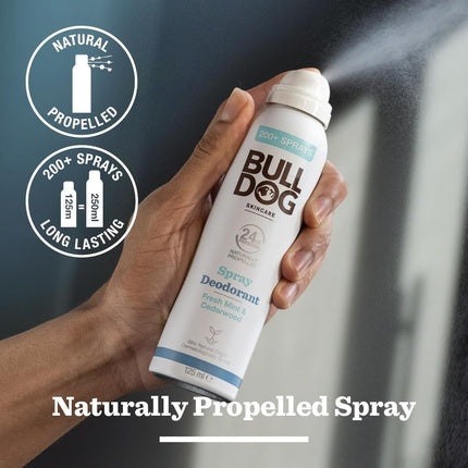 Bulldog Skincare for Men Fresh Mint & Cedarwood Spray Deodorant Bulldog