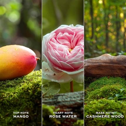 Maison des fragrances