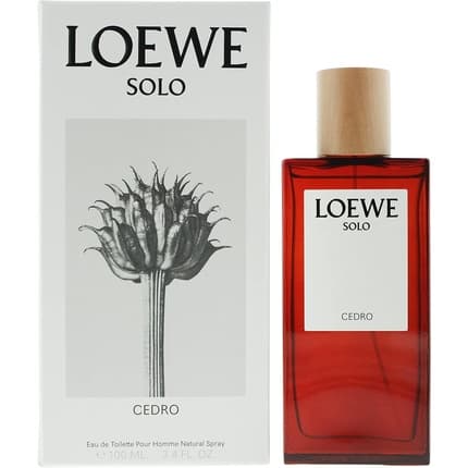 Loewe s Solo Cedro Eau de Toilette 100ml pour homme