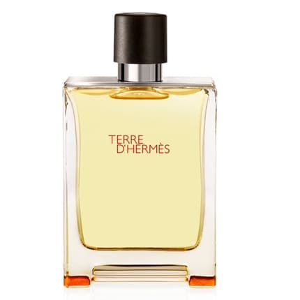 Hermes Terre D'Hermes Perfume Spray 75ml