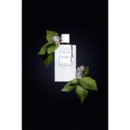 Van Cleef & Arpels Patchouli Blanc Eau de Parfum (EDP) Mixte 75ml