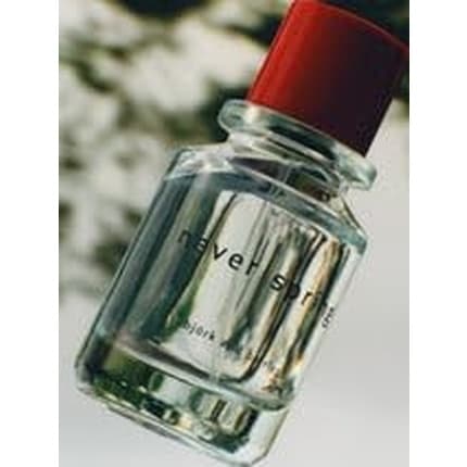 Bjork & Berries Björk and Berries Never Spring Eau de Parfum (EDP) Mixte