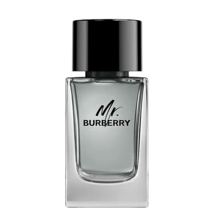 Burberry Mr. Burberry Eau de Toilette Homme 100 ml - Fruité