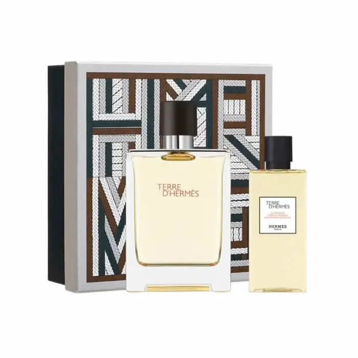 HERMES Paris Terre D'HERMES EAU DE Toilette 100ml Vaporizer Hermès