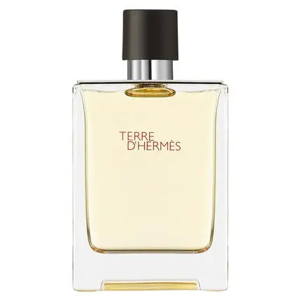 Hermes Terre D'Hermes Eau De Toilette Spray 100ml Hermès