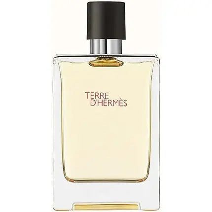 Hermes Terre D'Hermes Eau de Toilette Spray 200ml Hermès