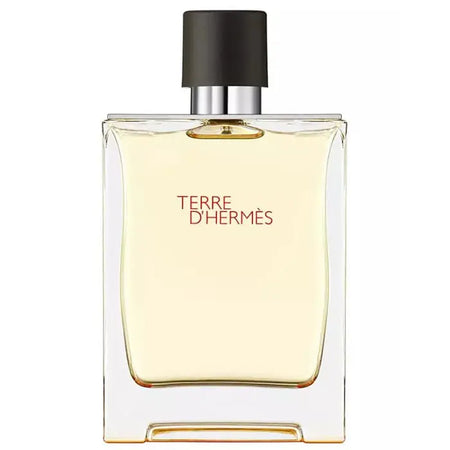 Hermes Terre D'Hermes Eau de Toilette Spray 200ml Hermès