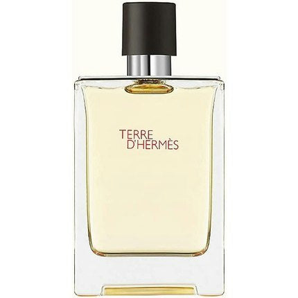 Hermes Terre D'Hermes Eau de Toilette Spray 200ml Hermès