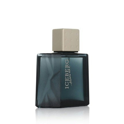 Iceberg Homme Eau De Toilette 50ml Pour Homme Iceberg