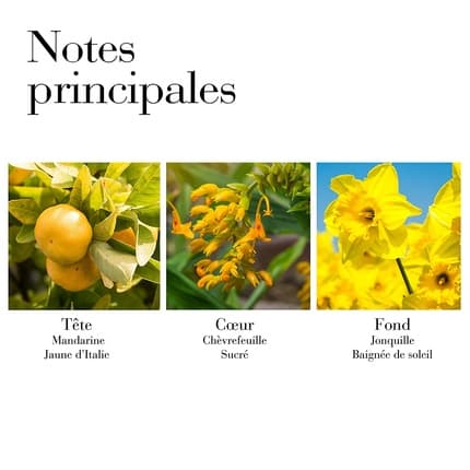 Elizabeth Arden Sunflowers Sunlight Kiss Vapo Eau de Toilette (EDT) Mixte 100ml