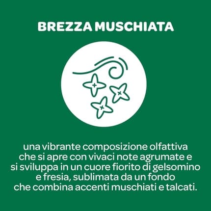 Borotalco Deodorant Pure Musk Breeze with Talcum Breathable Molecules Alcohol and Aluminum-Free Dry and Odor-Inhibiting 48h Effectiveness Musk Scent Déodorant (Déo) Mixte