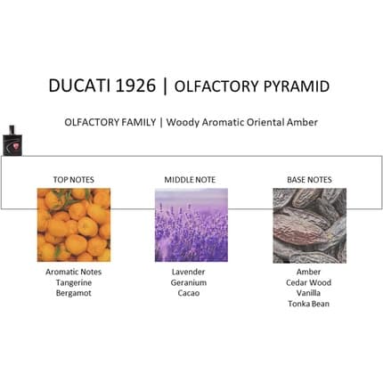 Ducati 1926 with Fresh Mandarin and Bergamot Openings Eau de Toilette (EDT) Homme 100ml