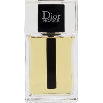 Dior Eau de Toilette (EDT) Homme 100ml