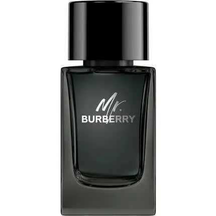 Mr Burberry Eau de Parfum Vapo 100ml Burberry