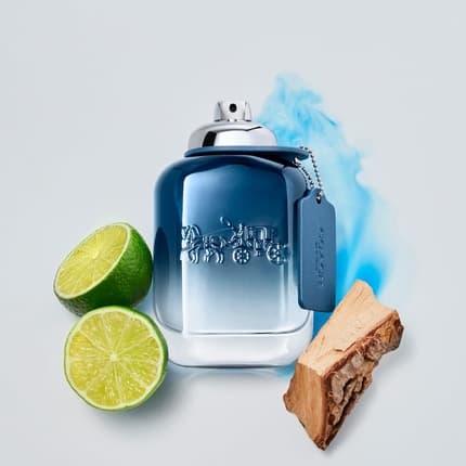 Coach Blue Eau de Parfum (EDP) Homme 100ml