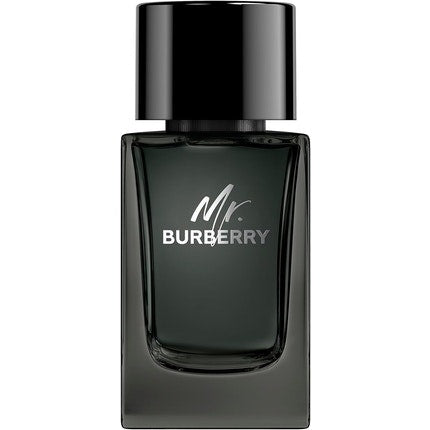 Mr Burberry Eau De Parfum spray 100ml Burberry