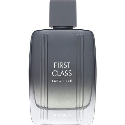 Etienne Aigner First Class Executive Eau de Toilette (EDT) Homme 100ml