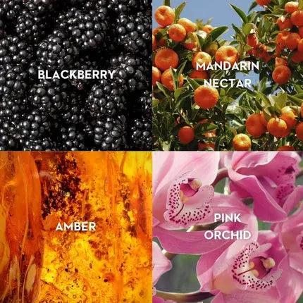 Room Service 1.7 Fl Oz Vilhelm Parfumerie