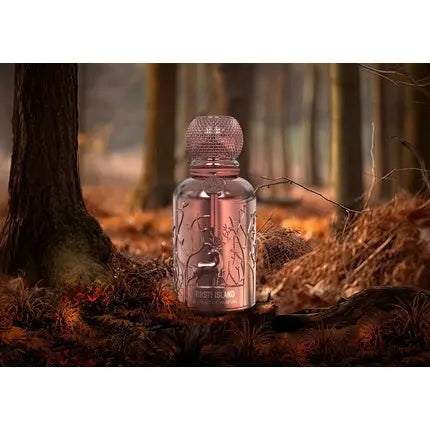 Rusty Island Extrait Perfume 100ml by Auraa Desire Strong Leather Wood Scent for Men and Women Auraa Desire