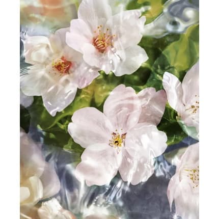 Guerlain Aqua Allegoria Flora Cherrysia Eau de Toilette 125oz Unisexe
