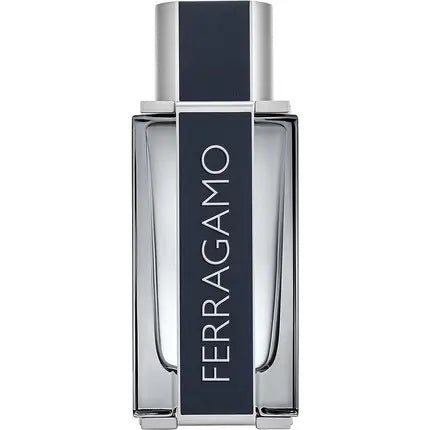 Salvatore Ferragamo Eau de Toilette 100 ml Salvatore Ferragamo