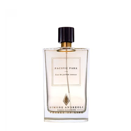 Simone Andreoli Pacific Park Eau de Parfum 100ml Unisex